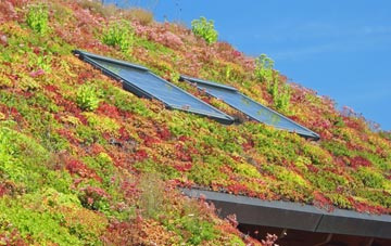 Ide living roof systems